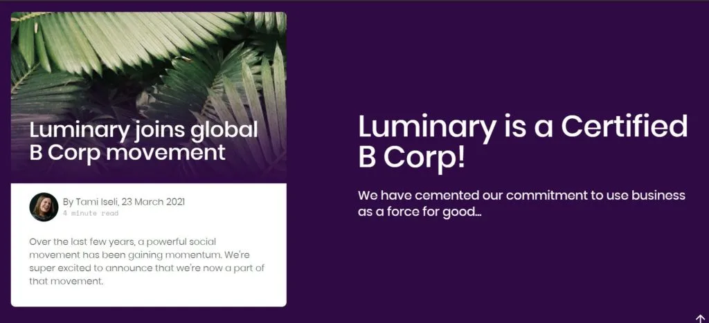 Digital marketing agencies in Indonesia -  Luminary