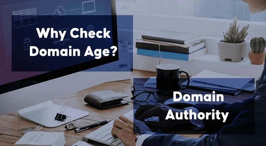 Comprehensive Website Review