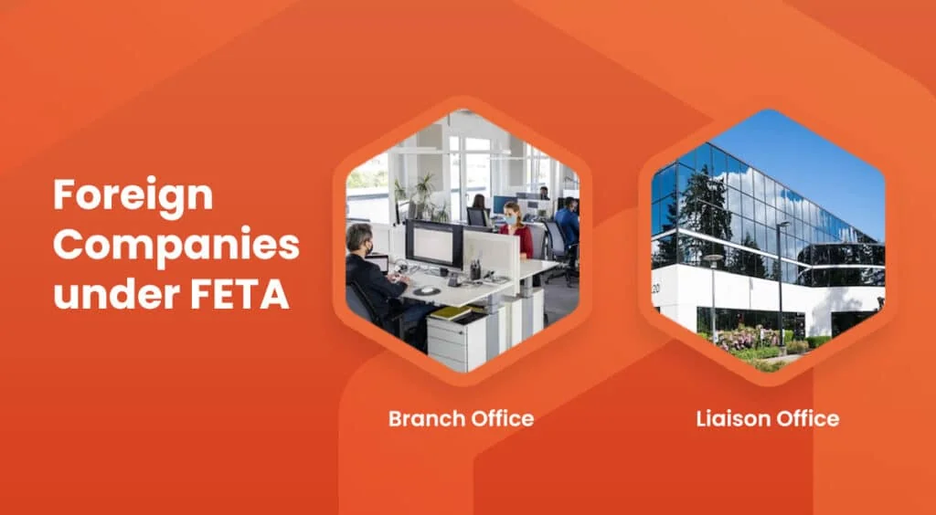 The types of foreign companies that can be set up under FETA